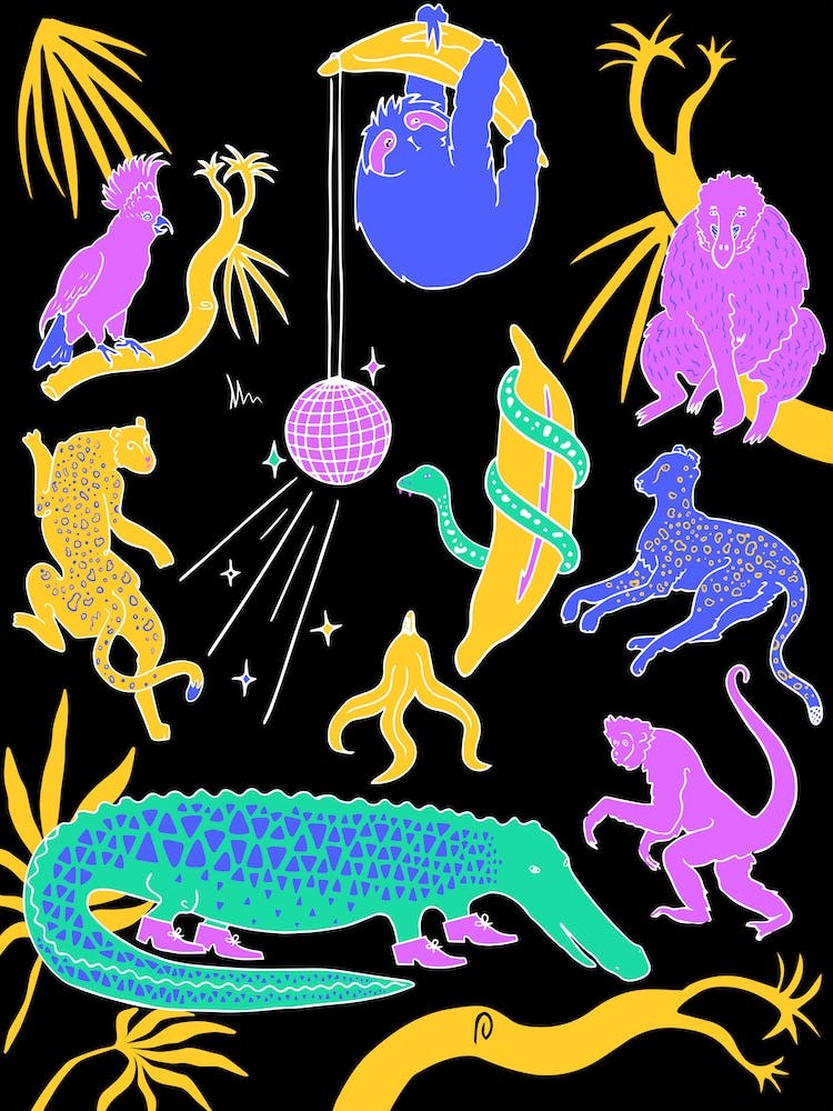 Jungle Boogie Animal Disco