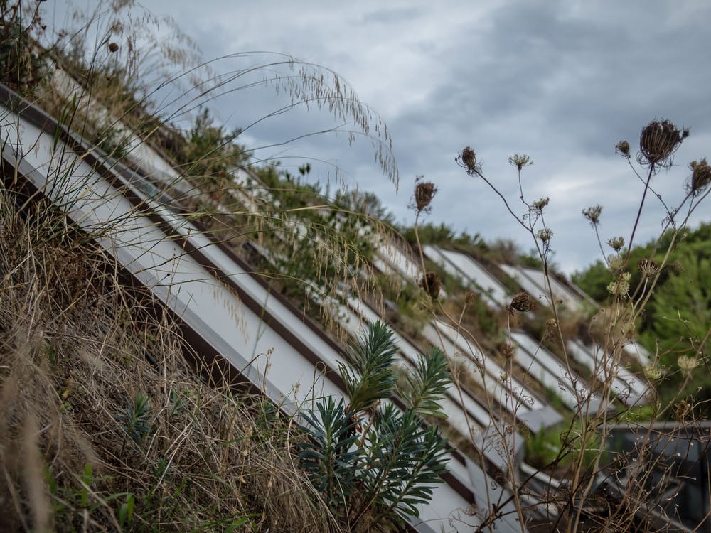 Building With Grass And Vegetation Along Balconies On Cold Winter Day