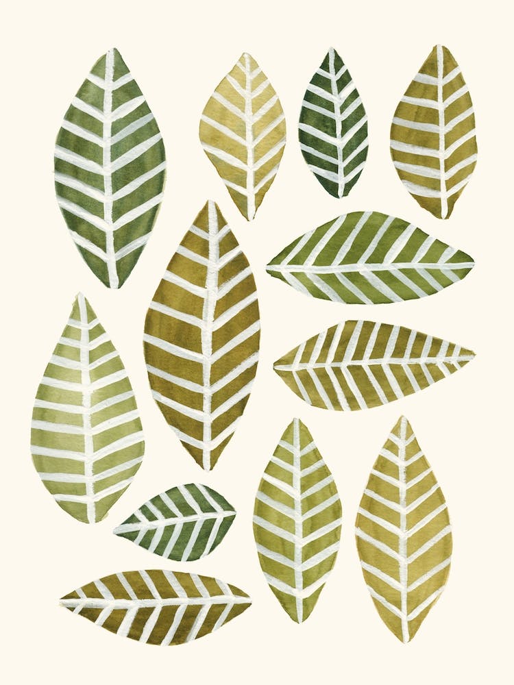 Arrangement de Feuilles