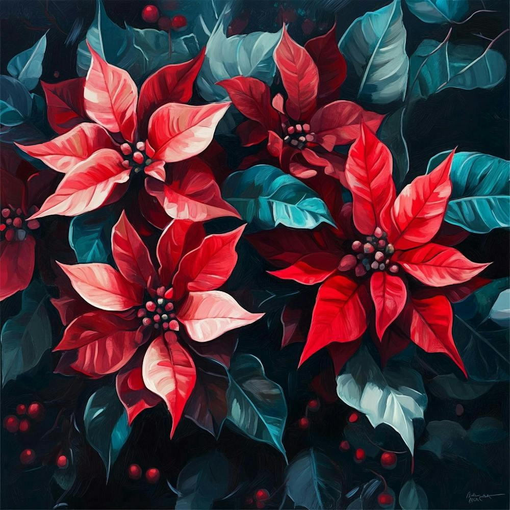 Poinsettias