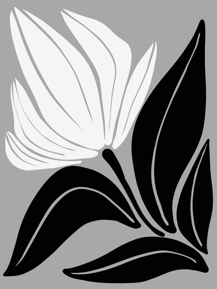 Black And White Flower 34