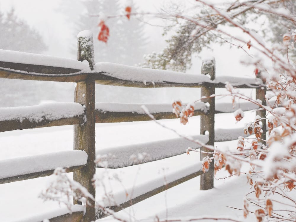 Snow Covered Fence