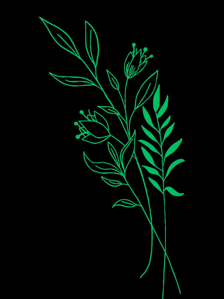 Green Leaves On Black Background