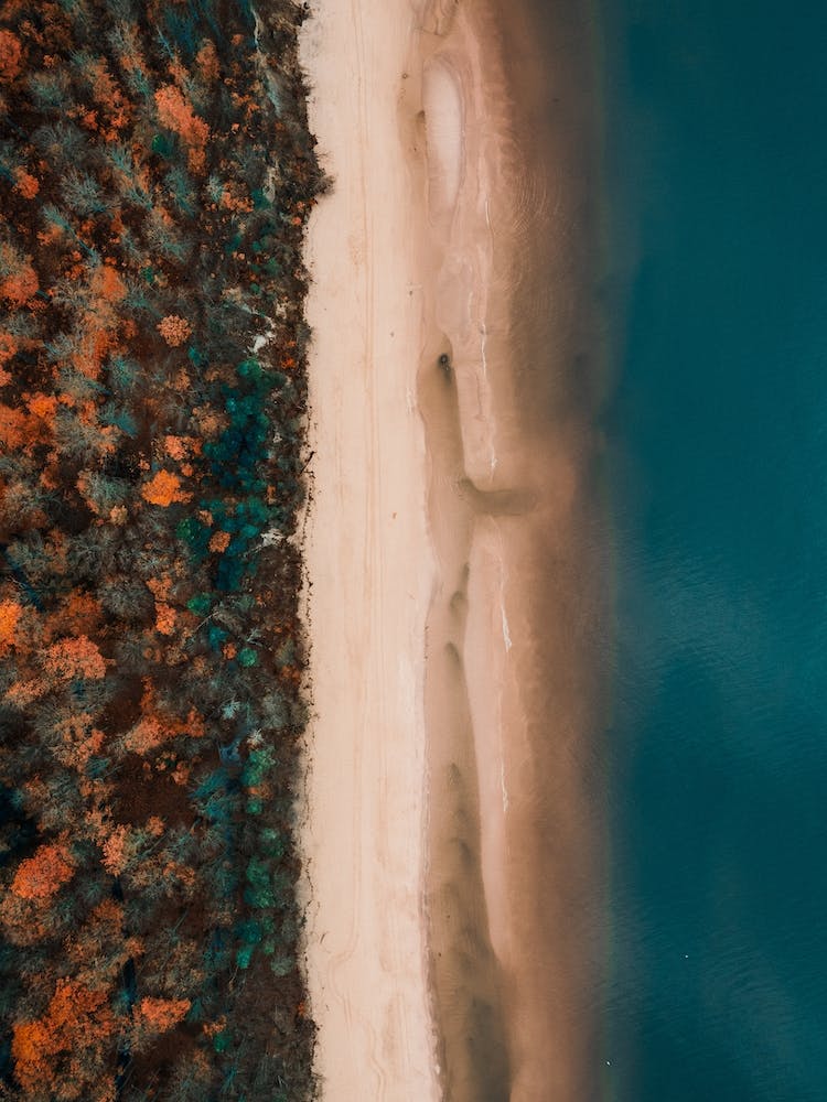 Baltic Coast