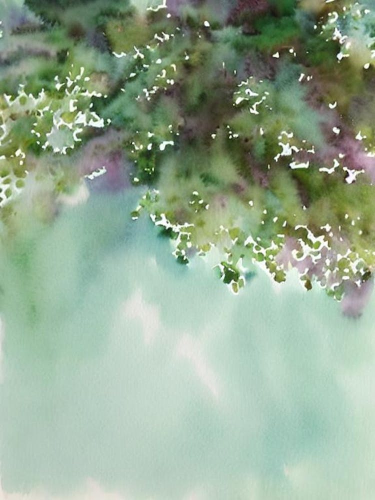 Acropora Tenella Storybook Watercolour