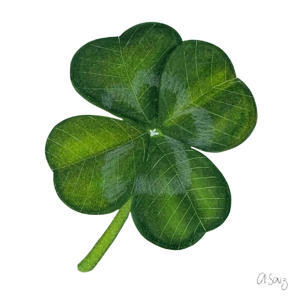 Clover