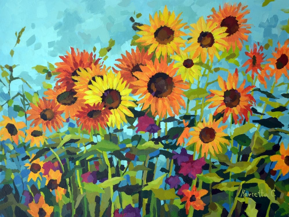 Sunflower Filed1