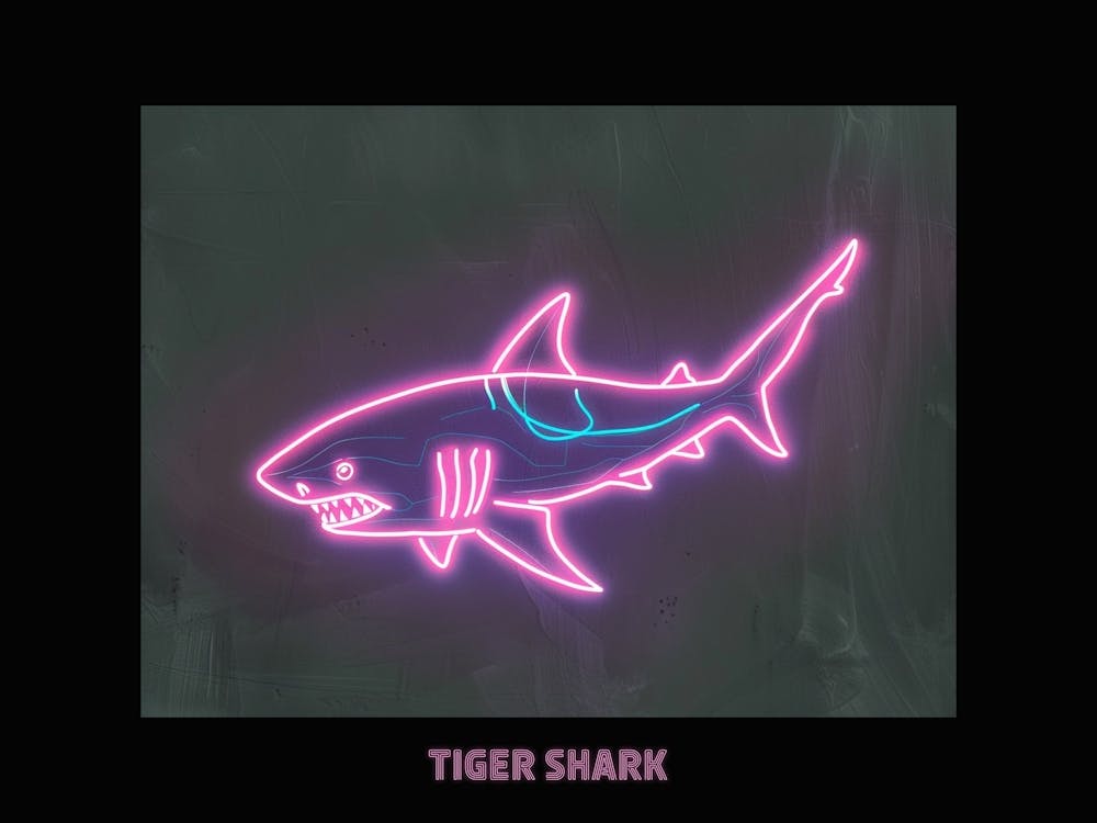 Neon Pink Tiger Shark Poster 4