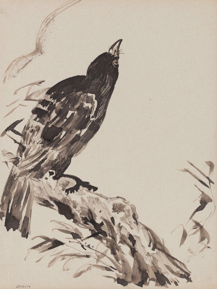 Crow