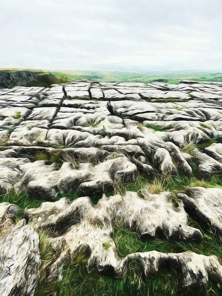 Limestone Pavement Yorkshire Dales