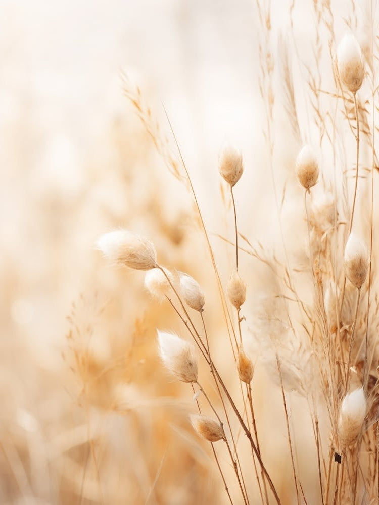 Boho Dried Flowers Veronica 2