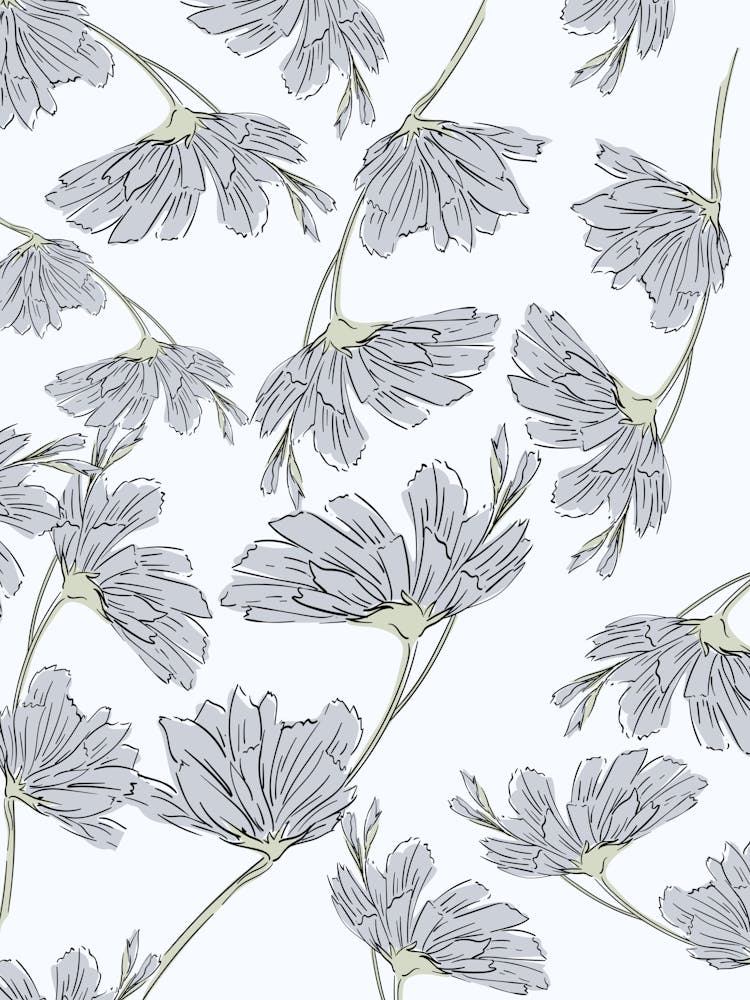 Chrysanthemums 4