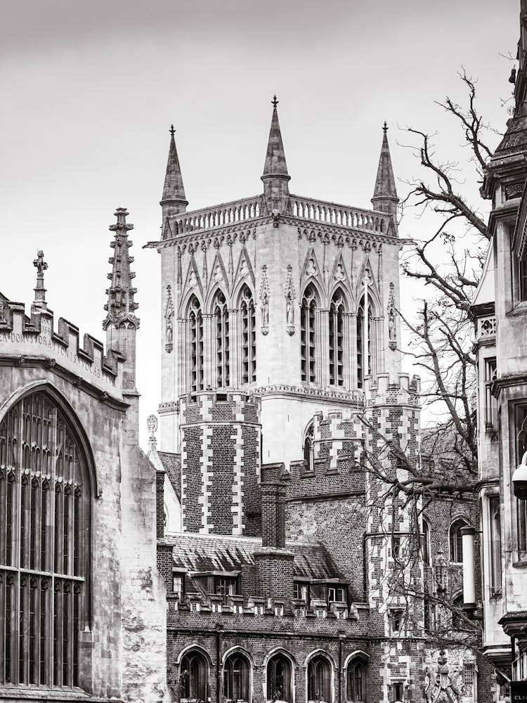 Cathedral