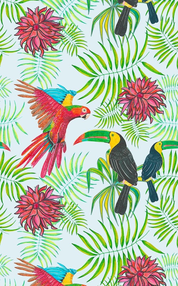 Animal Kingdom Birds