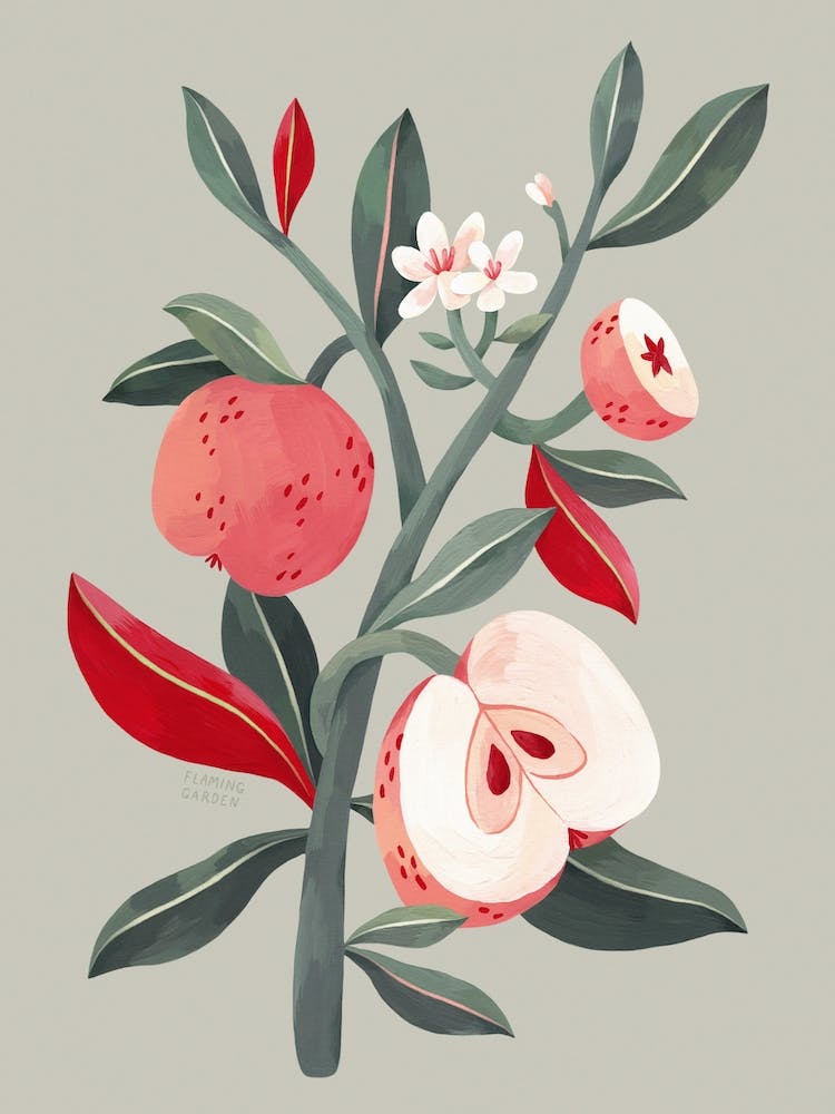 Apple Tree