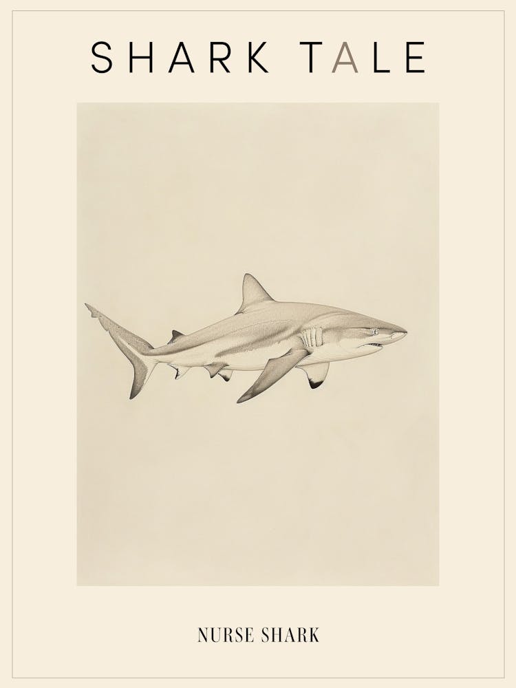 Vintage Nurse Shark Pencil Illustration 1 Poster