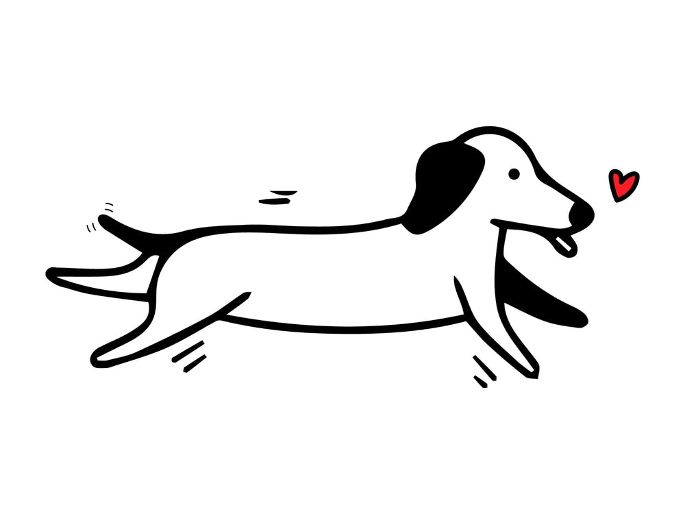 Dachshund Cute Dog Illustration 1
