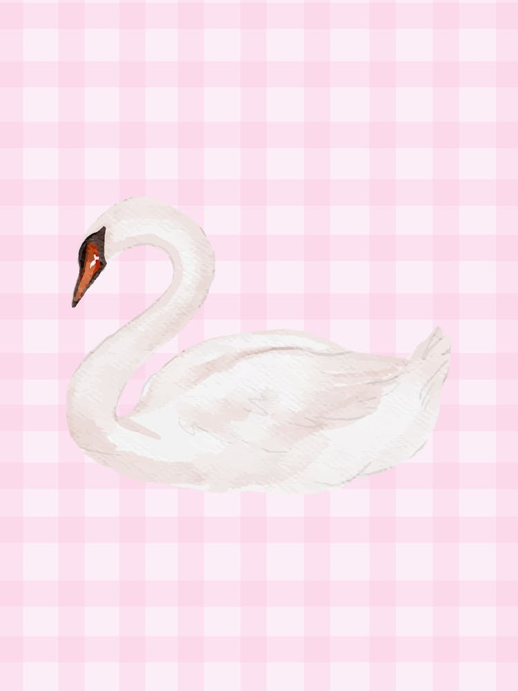 Swan Pink Gingham Poster