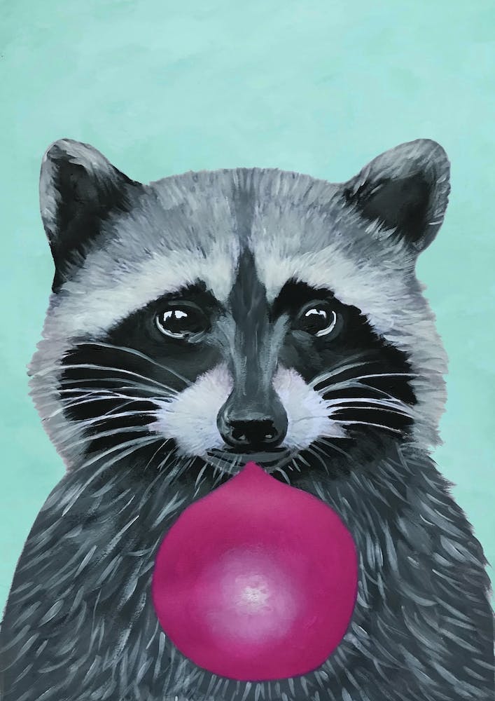 Raccoon With Bubblegum