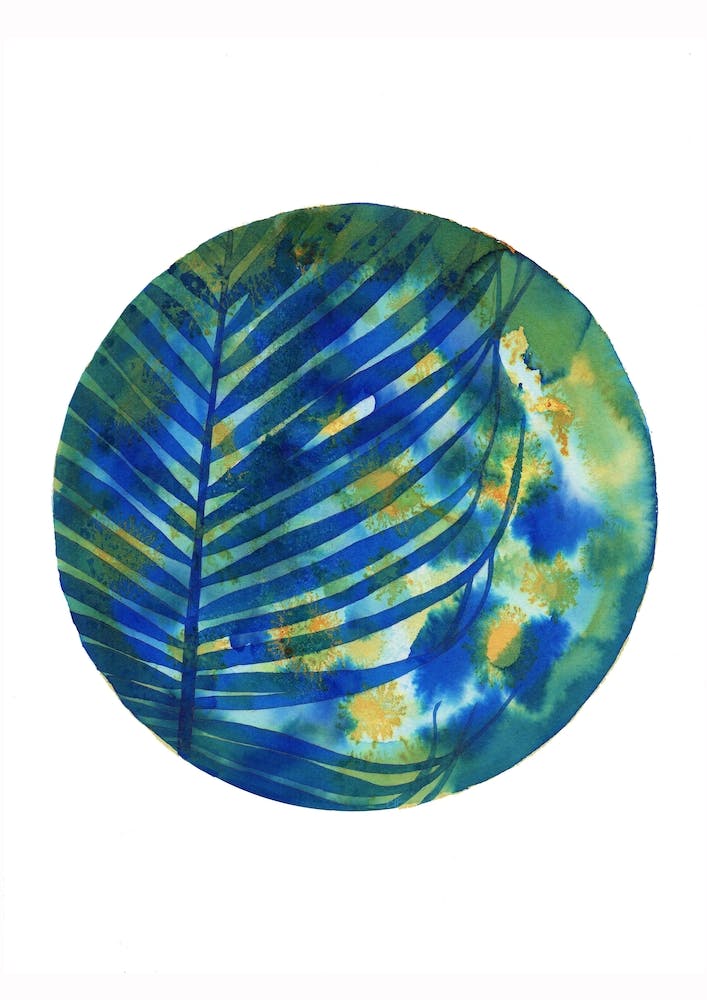 Tropical Shadows