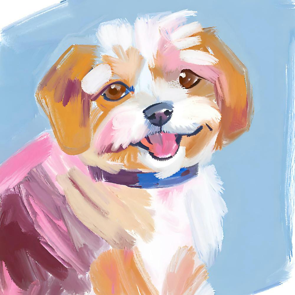 Havanese 03