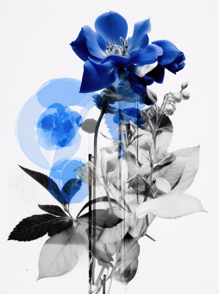 Blue Roses 1