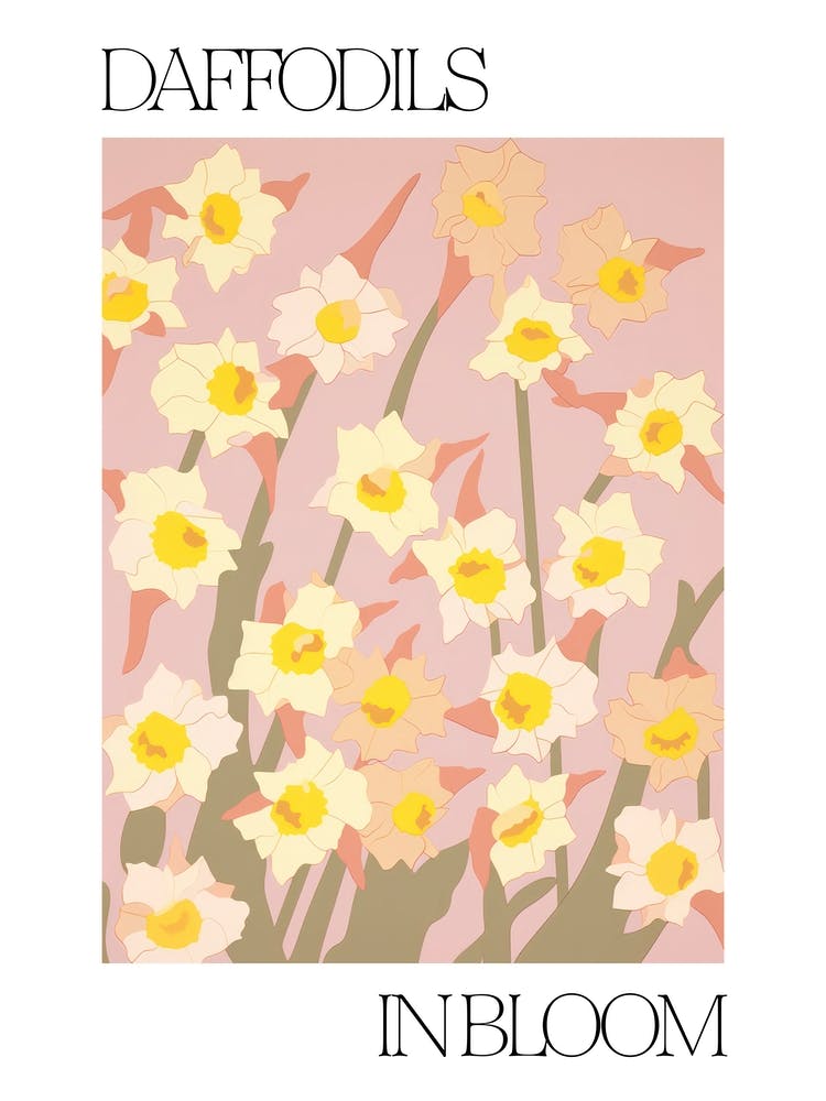 Daffodils In Bloom Flowers Bold Illustration 3