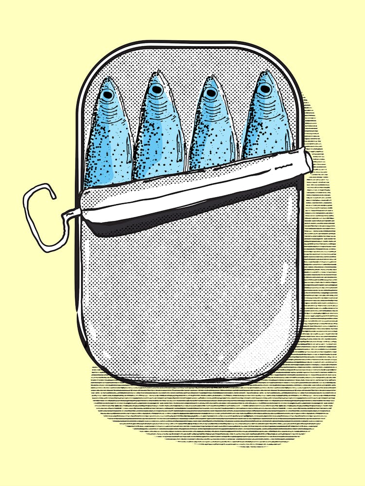 Fish In A Tin