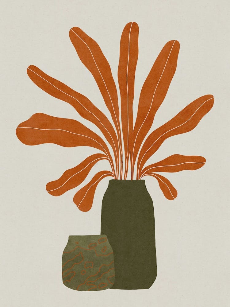 Orange Plant