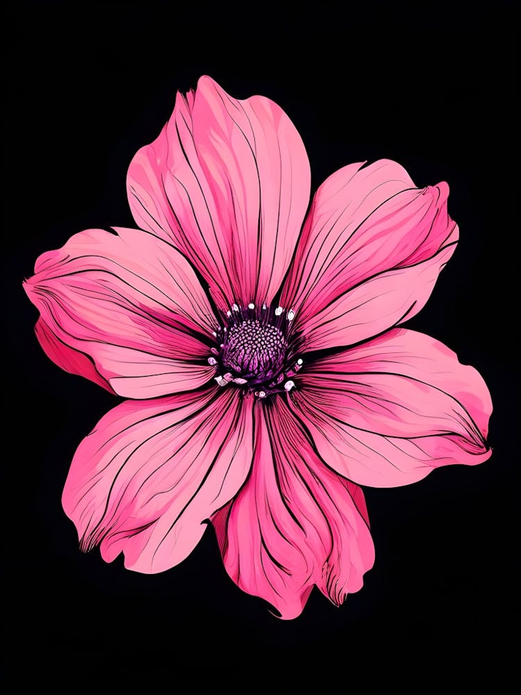 Pink Flower On Black Background