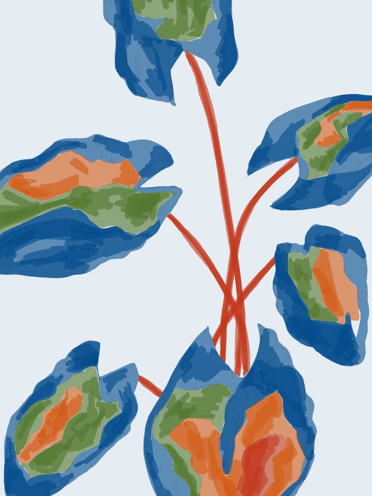 Colourful botanical print