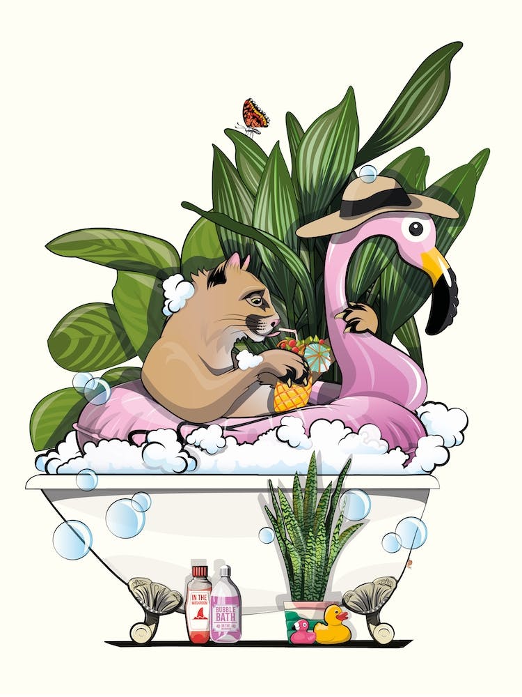 Mountain Lion In The Bath