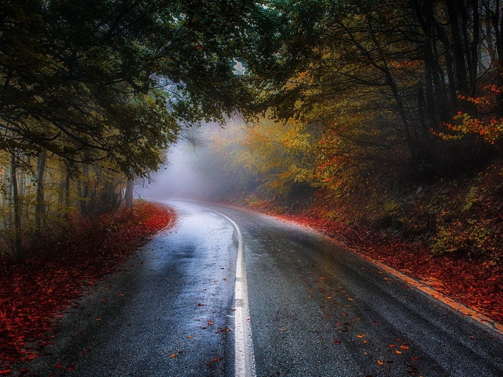 Road In The Fog