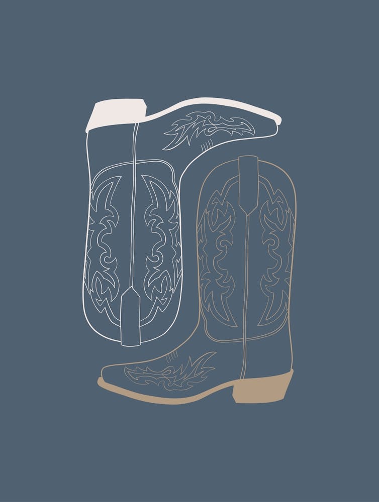 Cowboystiefel 2