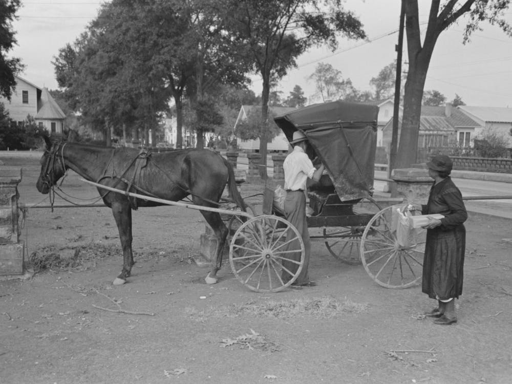 Loading Groceries Into Buggy, Lafayette, Louisiana By Russell Lee