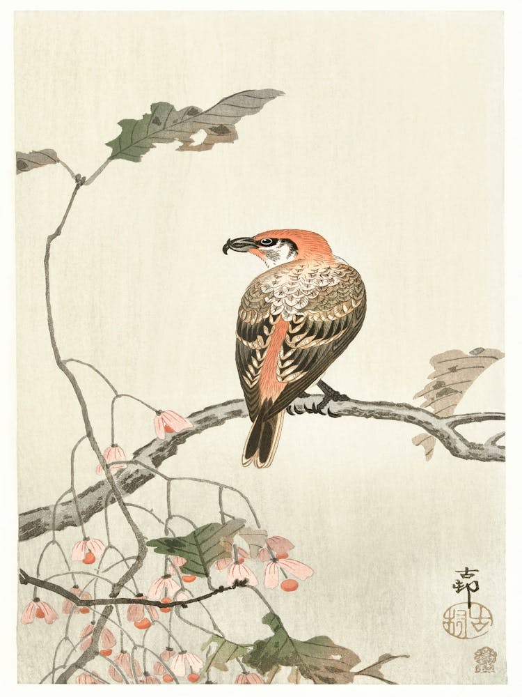 Fichtenkreuzschnabel auf Ast (1900 1910), Ohara Koson