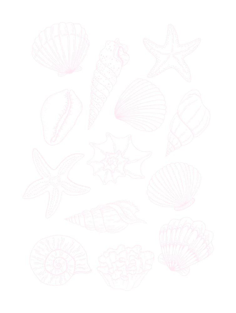 Light Pink Seashells