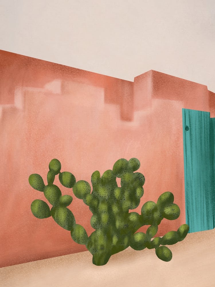 Strong Desert Cactus