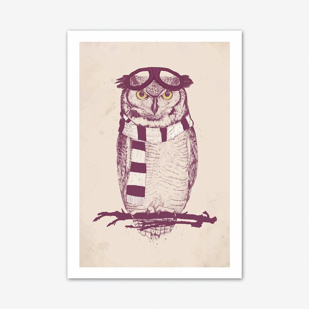 The Aviator
