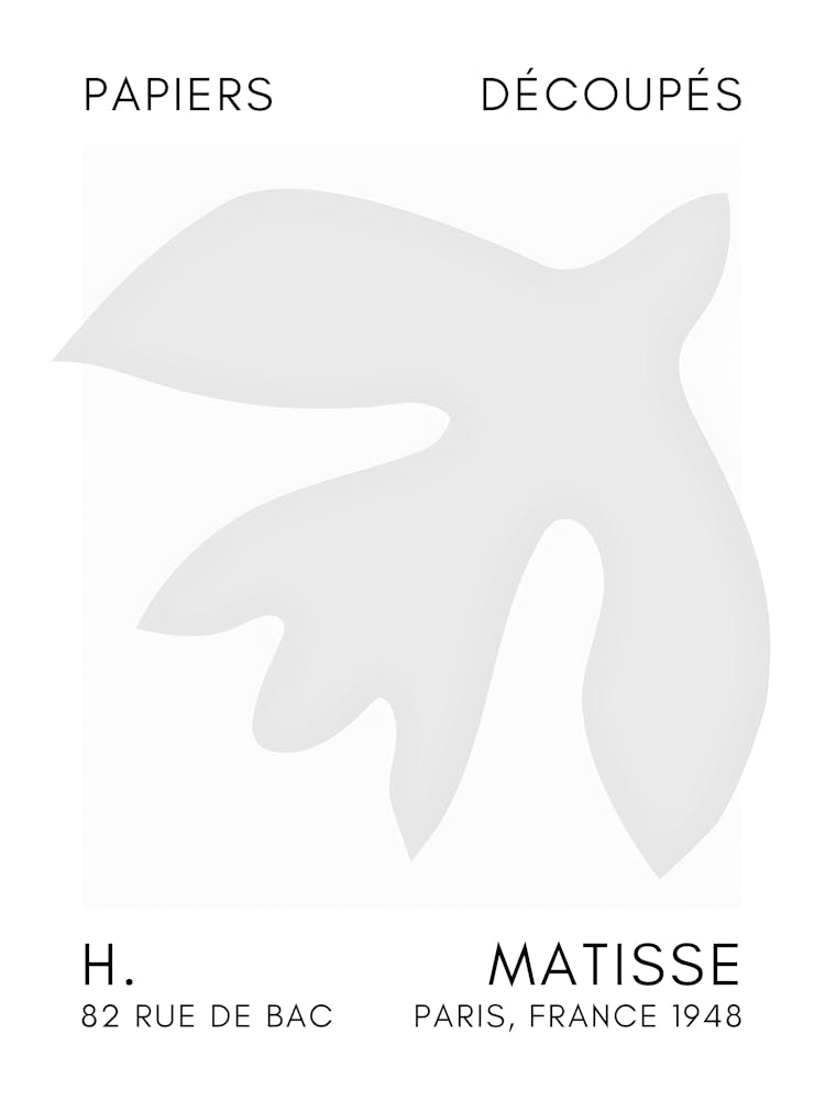 Matisse 18