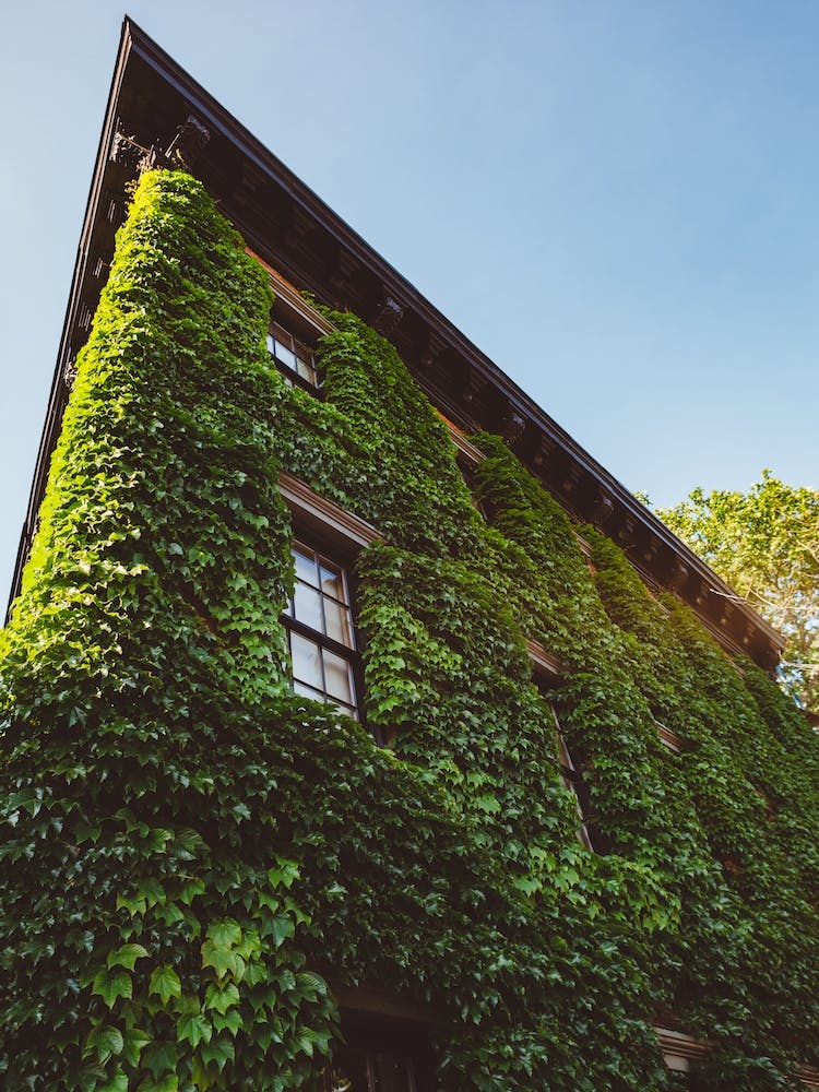 West Village Charm III