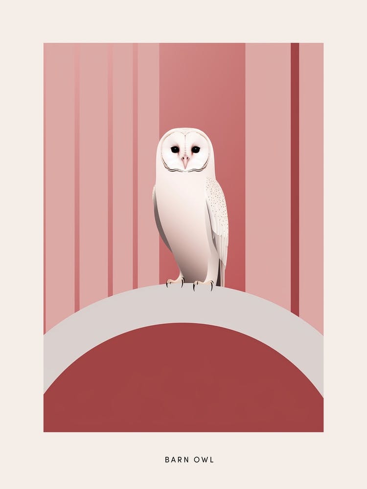 Minimalist Barn Owl 4 Bird Poster