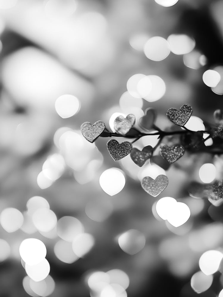 Black And White Bokeh