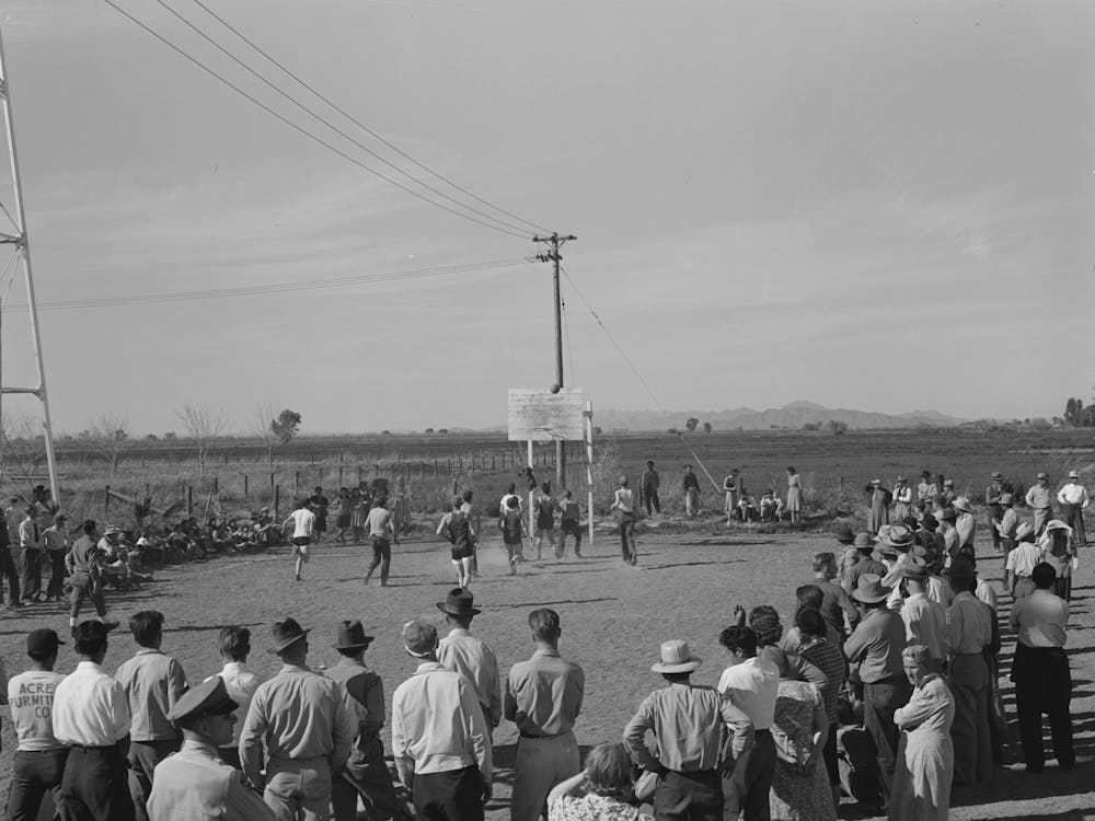 Sonoma County, California, Legehennen auf einer Ranch von Russell Lee