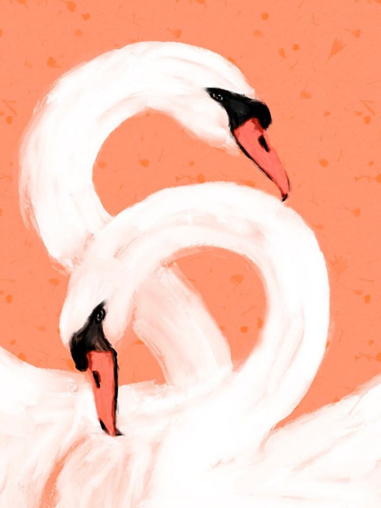 Swans