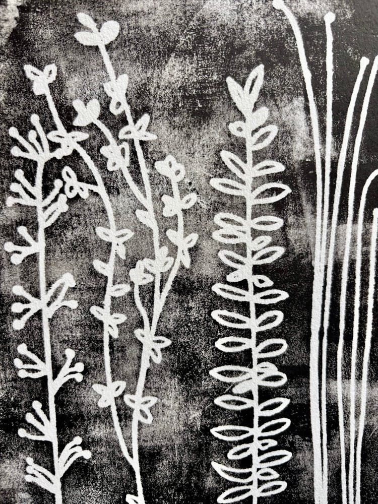 Black And White Print 1