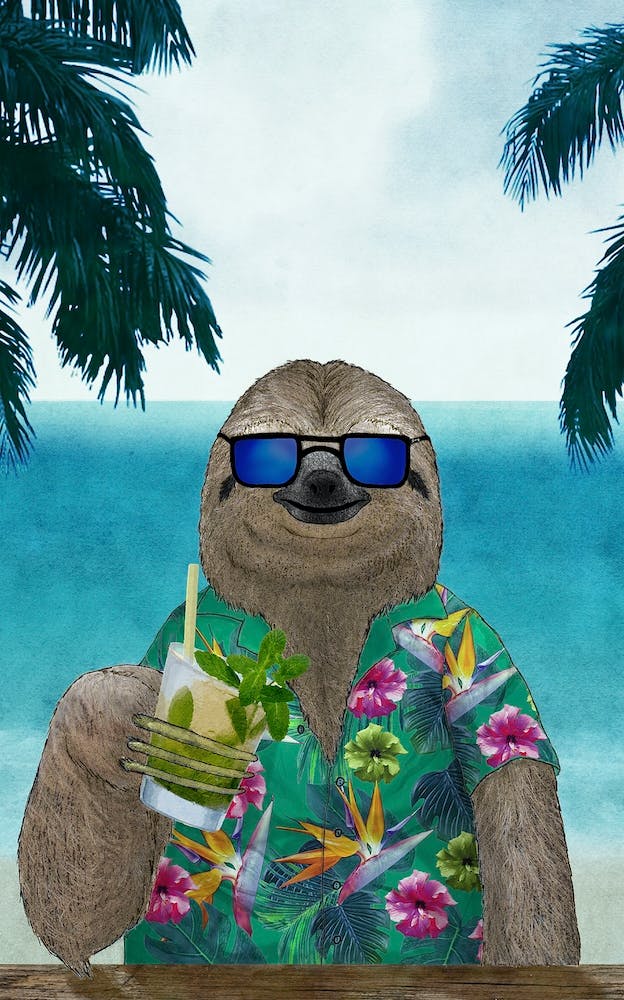Sloth On Summer Drinking Mojito