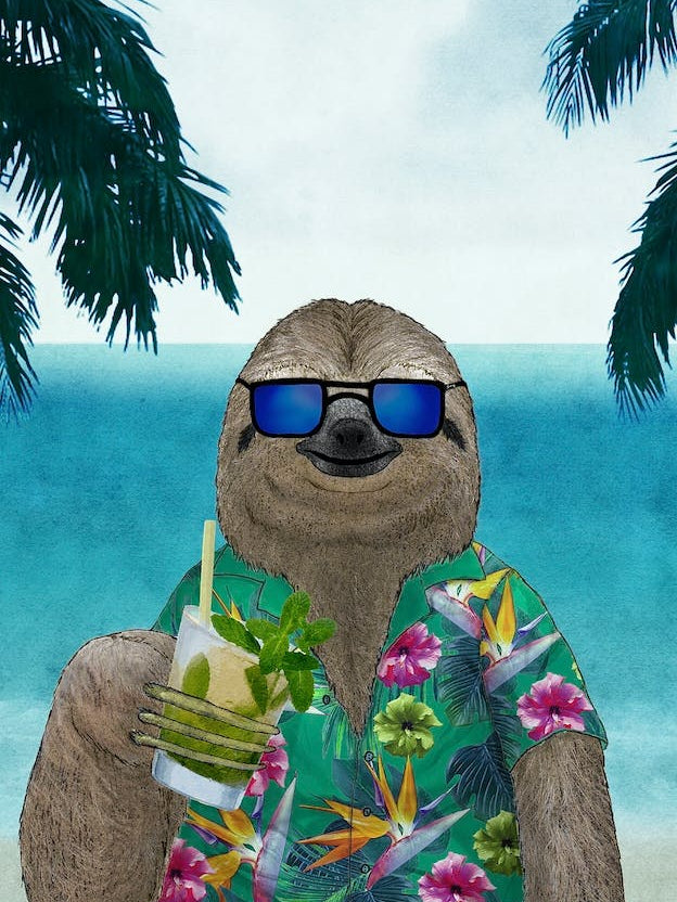 Sloth On Summer Drinking Mojito