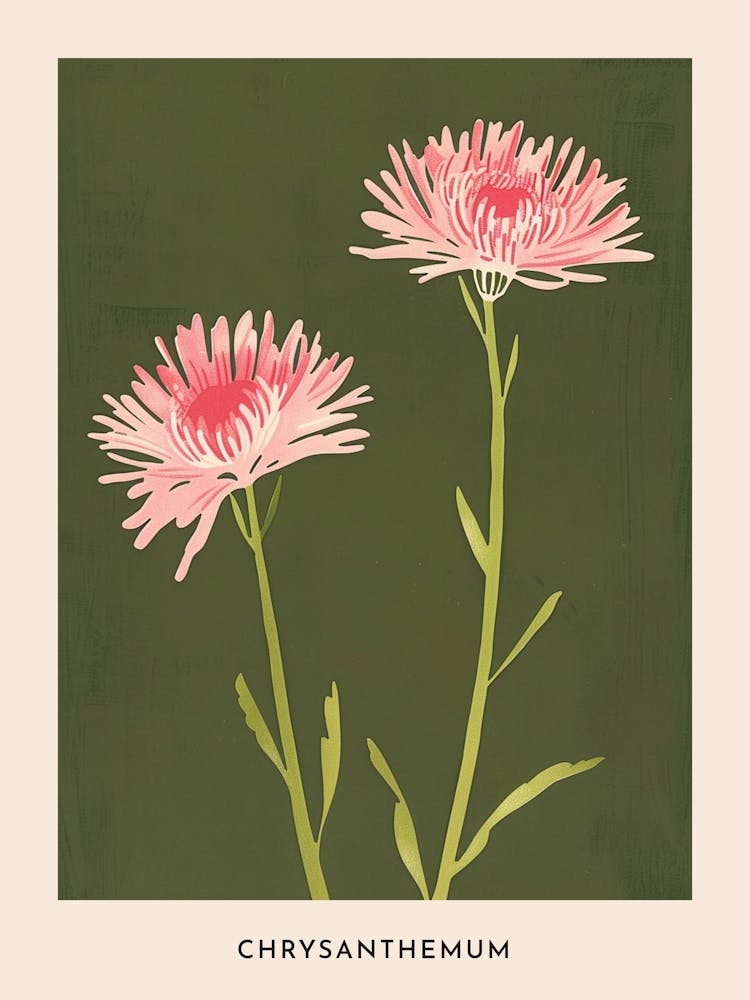 Pink & Green Chrysanthemum 3 Flower Poster