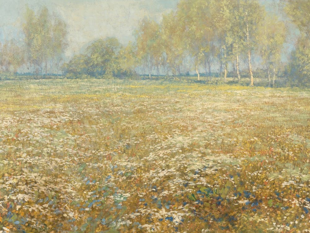 Vintage Painting Field Of Daisies